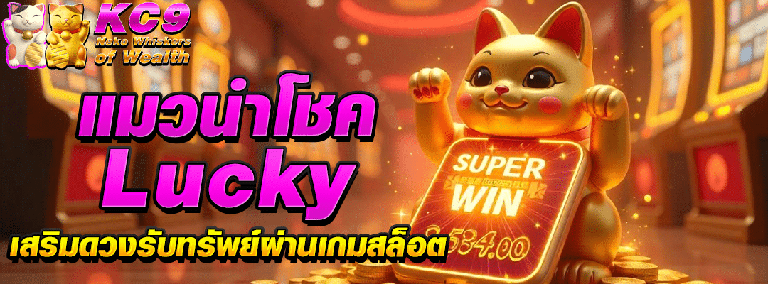 แมวนําโชค lucky