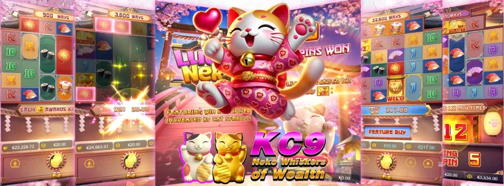 Lucky Neko แตกบ่อย